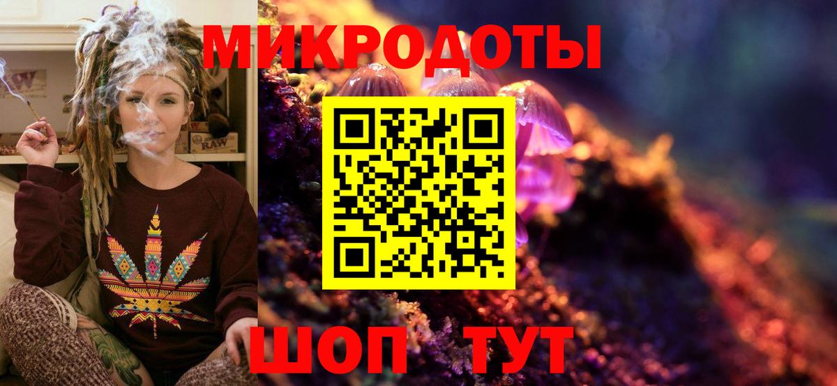 Галлюциногенные грибы Psilocybe Советская Гавань