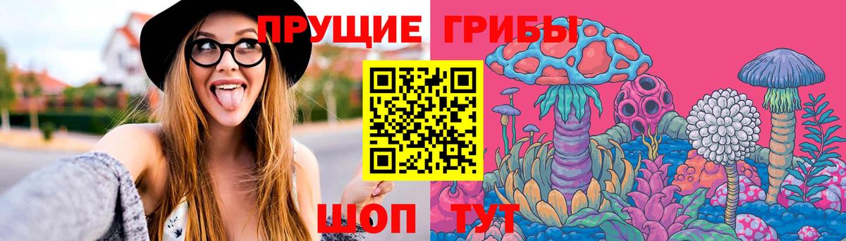 Советская Гавань  Псилоцибиновые грибы Psilocybine cubensis  Псилоцибиновые грибы прущие грибы  Вход с VPN 